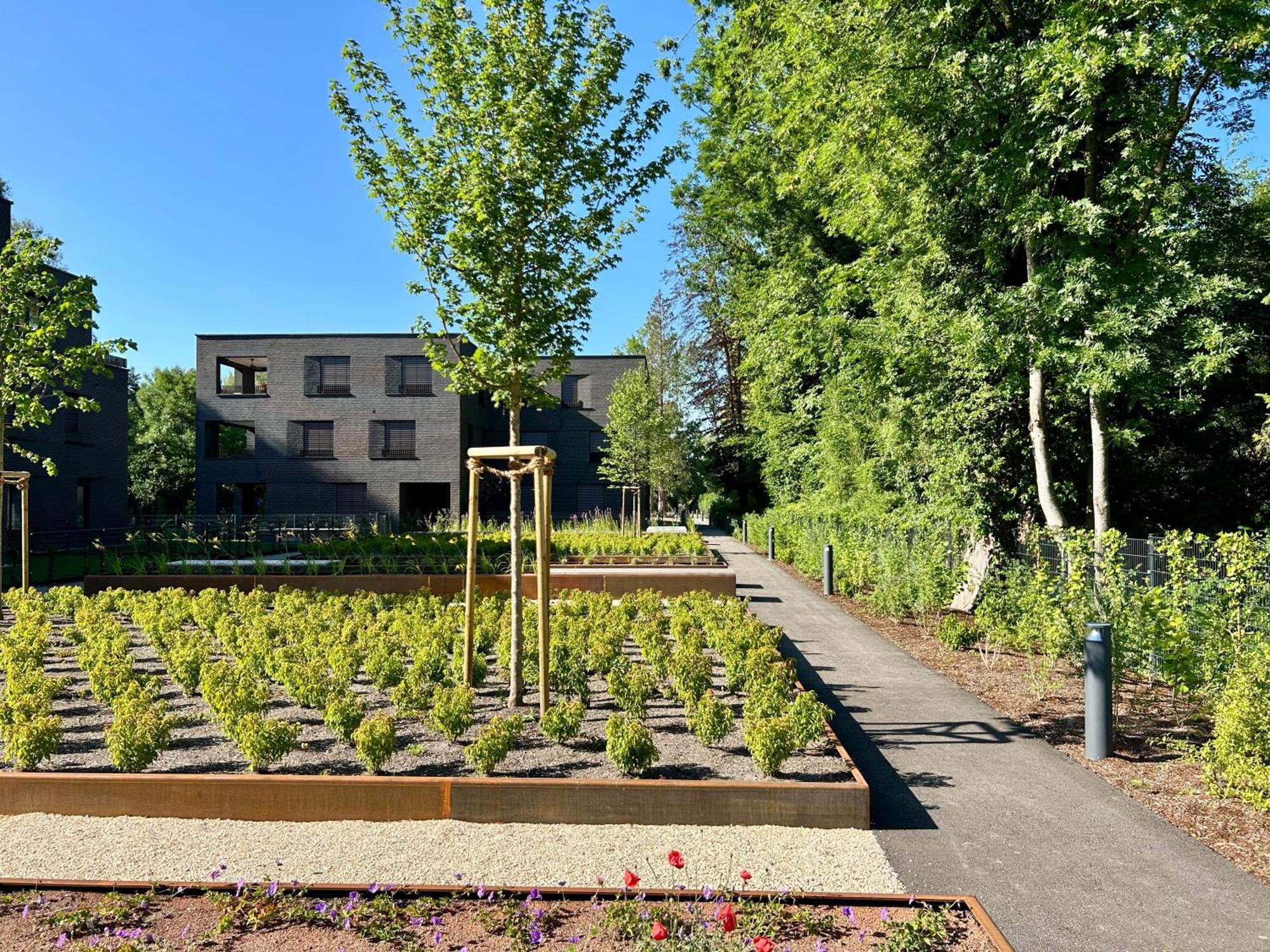 Seeparkvilla - Wohlfuehlen Am See Und Im Gruenen Bregenz Exteriör bild