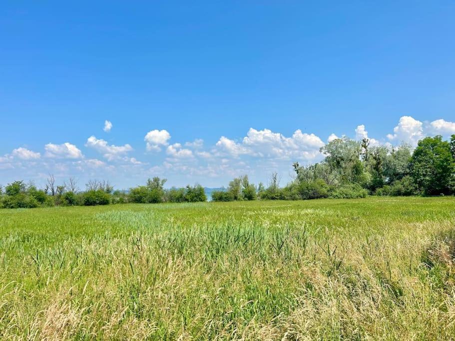 Seeparkvilla - Wohlfuehlen Am See Und Im Gruenen Bregenz Exteriör bild