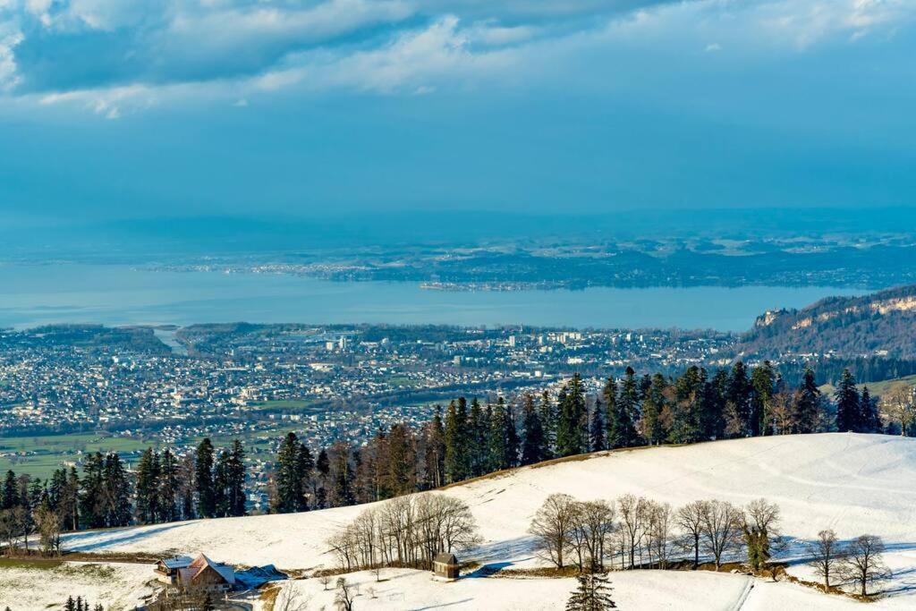 Seeparkvilla - Wohlfuehlen Am See Und Im Gruenen Bregenz Exteriör bild