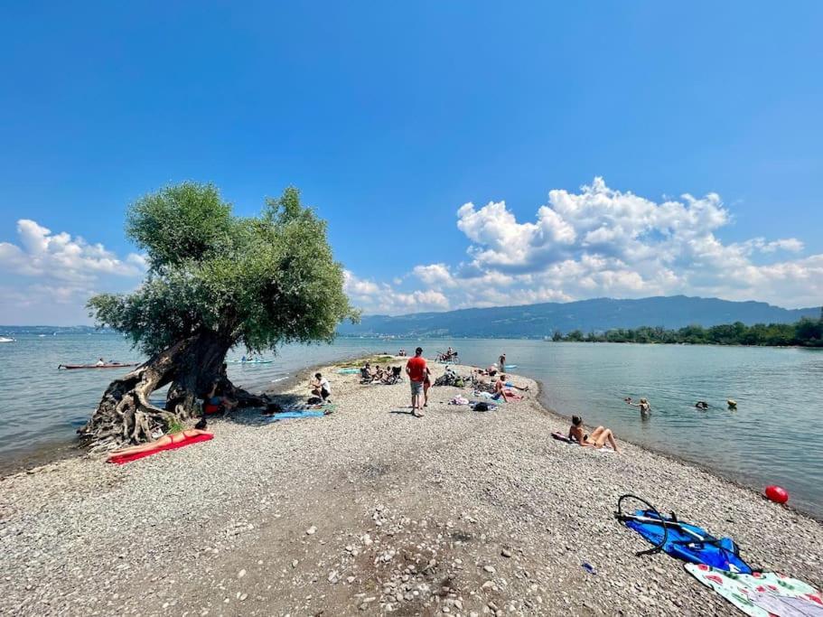 Seeparkvilla - Wohlfuehlen Am See Und Im Gruenen Bregenz Exteriör bild
